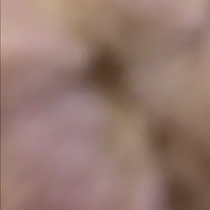 Meet your Posher, Ava